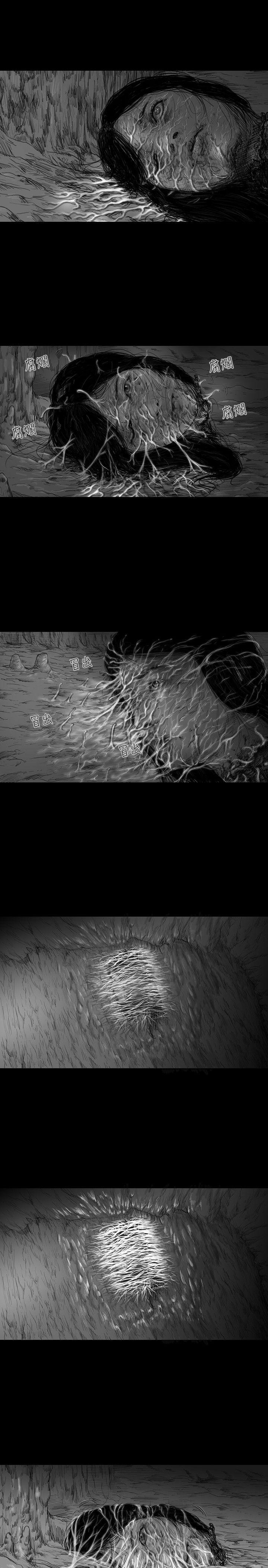 第7话 -SEEDTheBeginning-无名（第13张）