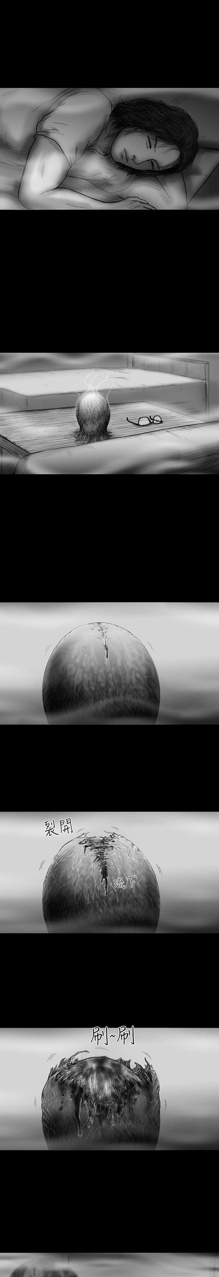 第17话 -SEEDTheBeginning-无名（第14张）