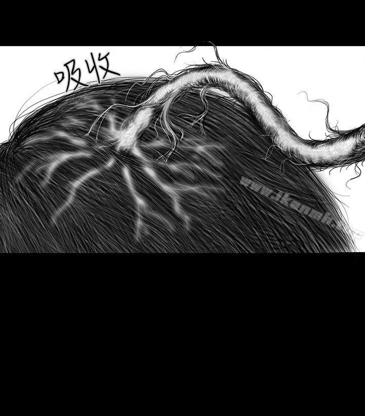 第22话-SEED The Beginning-徐优锡（第11张）