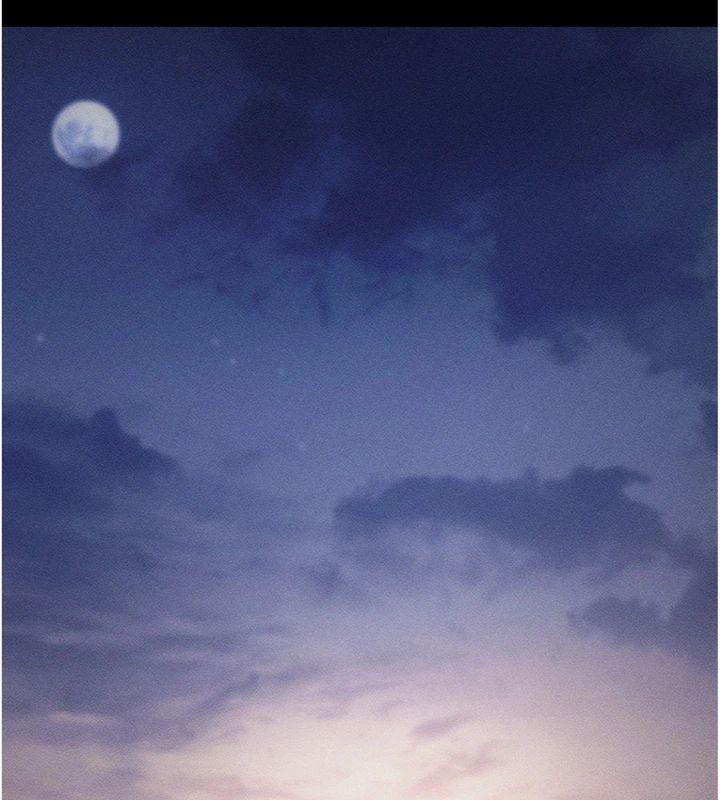 第20话-必须由我来开苞♥-拜脱拜脱App-wolfy,彼此（第13张）