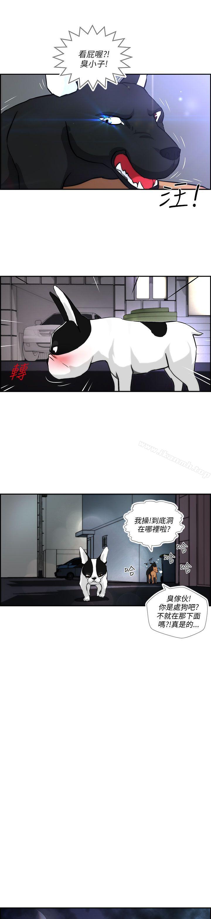 第3话-变成狗的男人-Zebec（第9张）