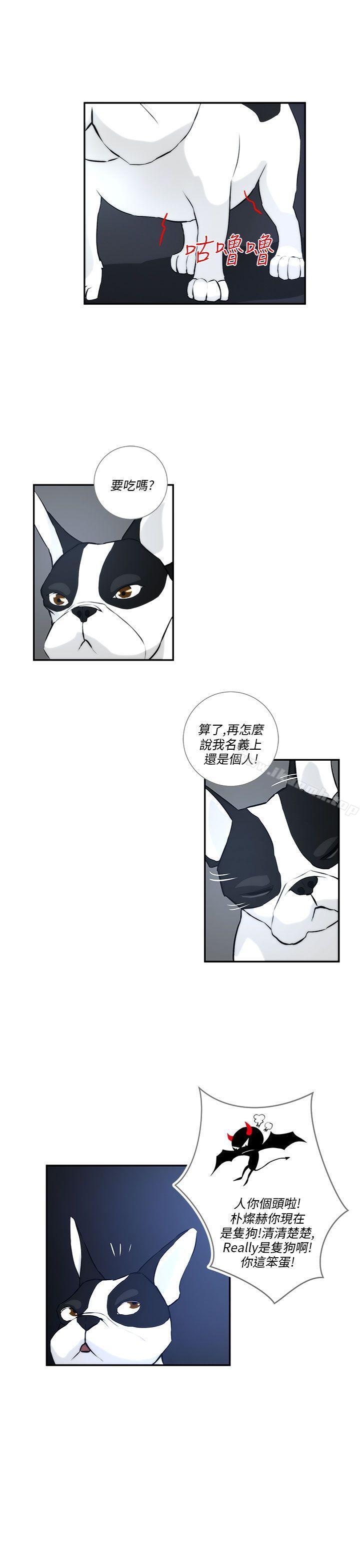 第3话-变成狗的男人-Zebec（第11张）