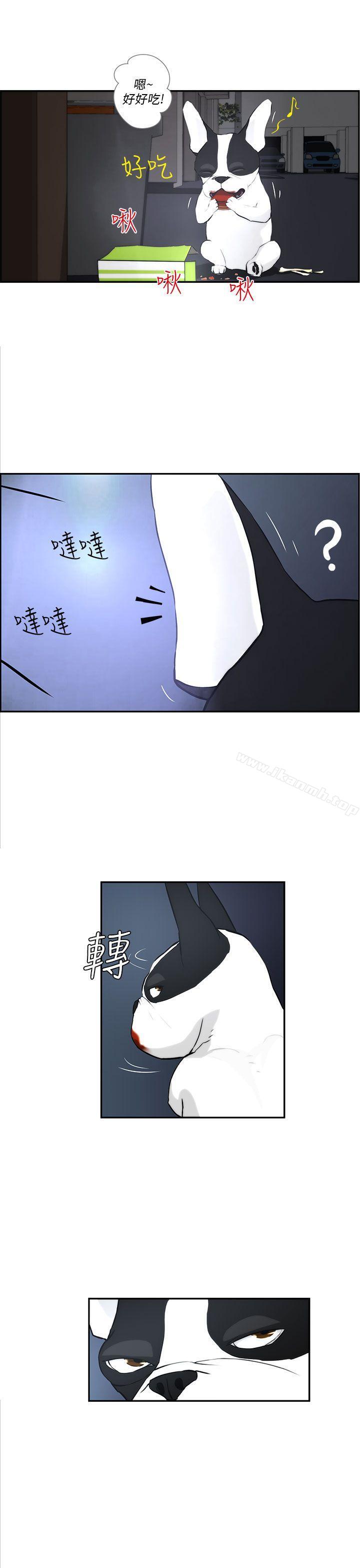 第3话-变成狗的男人-Zebec（第13张）