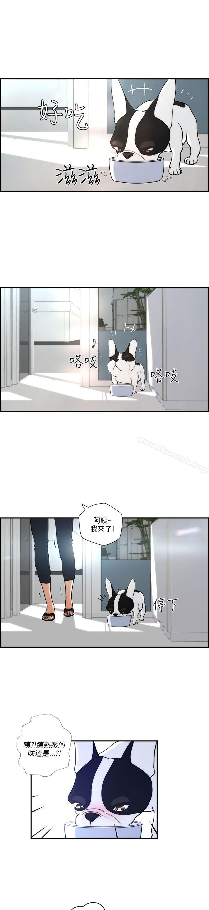 第4话-变成狗的男人-Zebec（第21张）