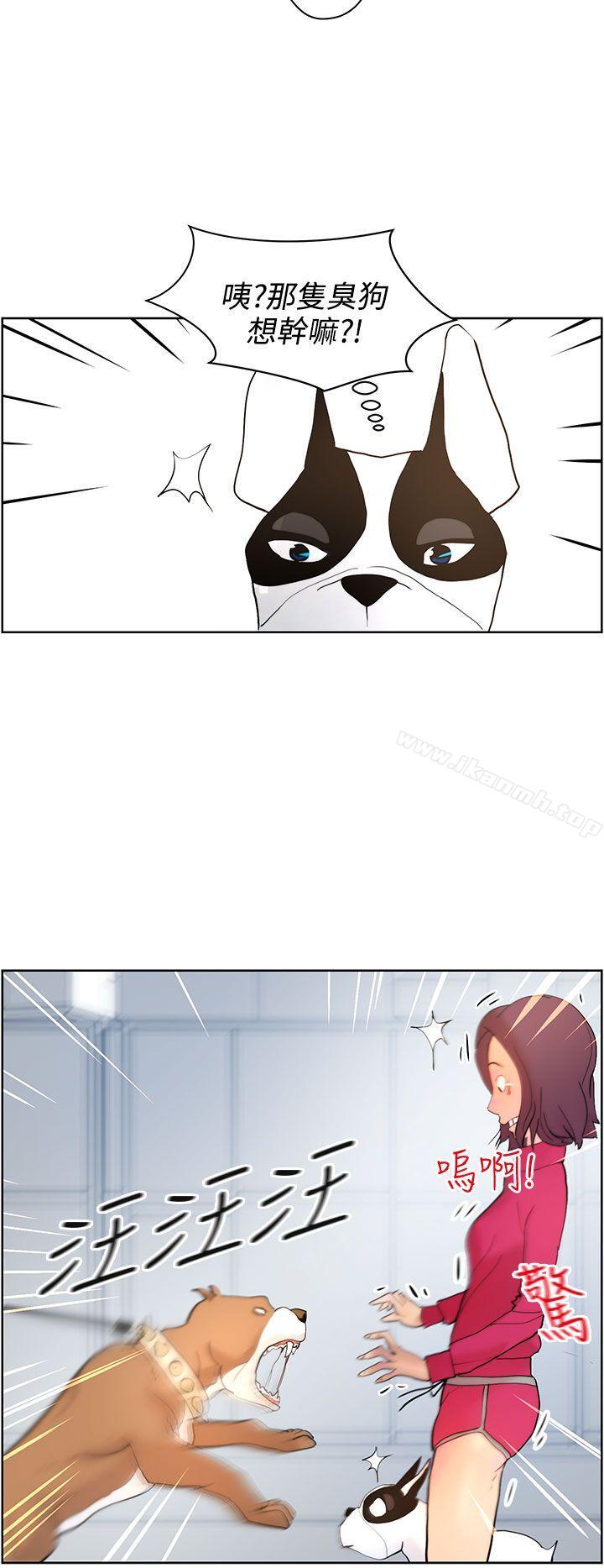 第8话-变成狗的男人-Zebec（第12张）