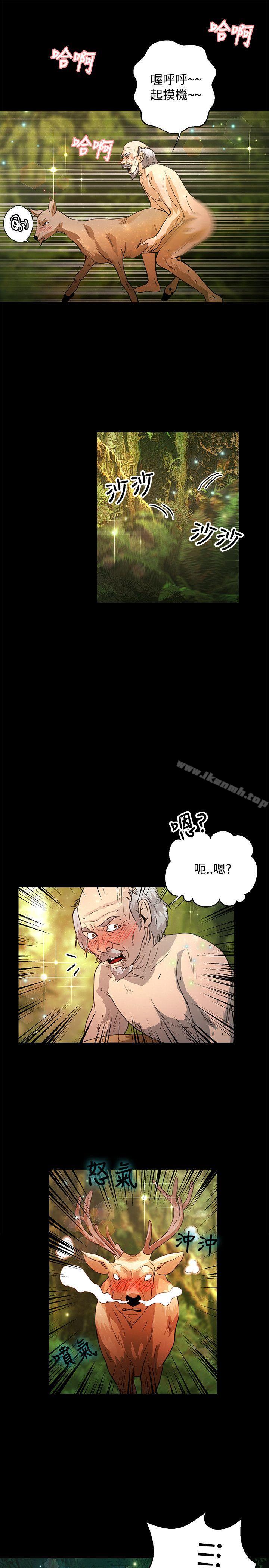 最终话-丛林爱爱法则-粉红呼噜 , 麦麦（第22张）