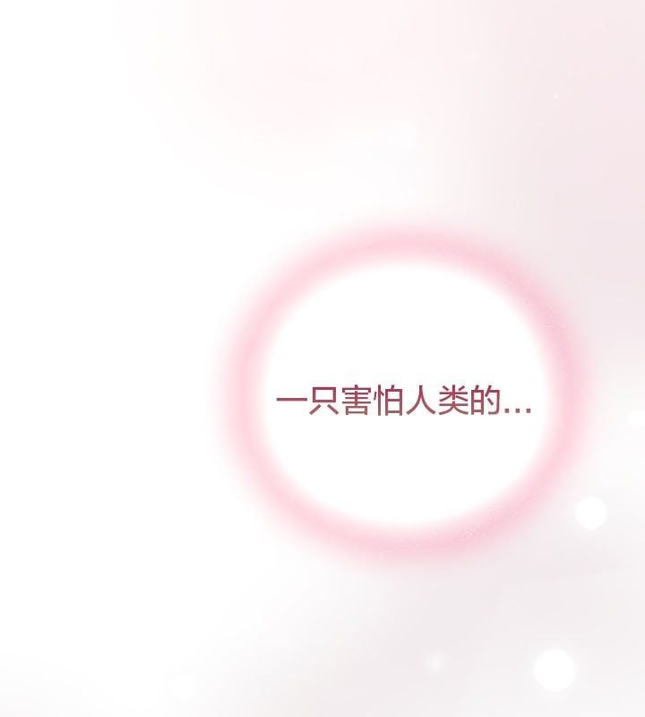 第13话-猫猫牵红线-10_million（第13张）