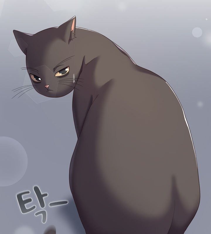 第13话-猫猫牵红线-10_million（第15张）