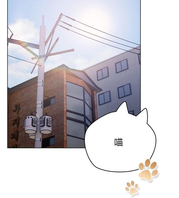 第18话-猫猫牵红线-10_million（第4张）