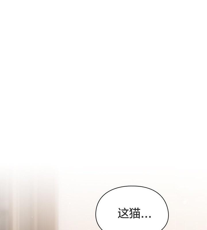 第24话-猫猫牵红线-10_million（第6张）