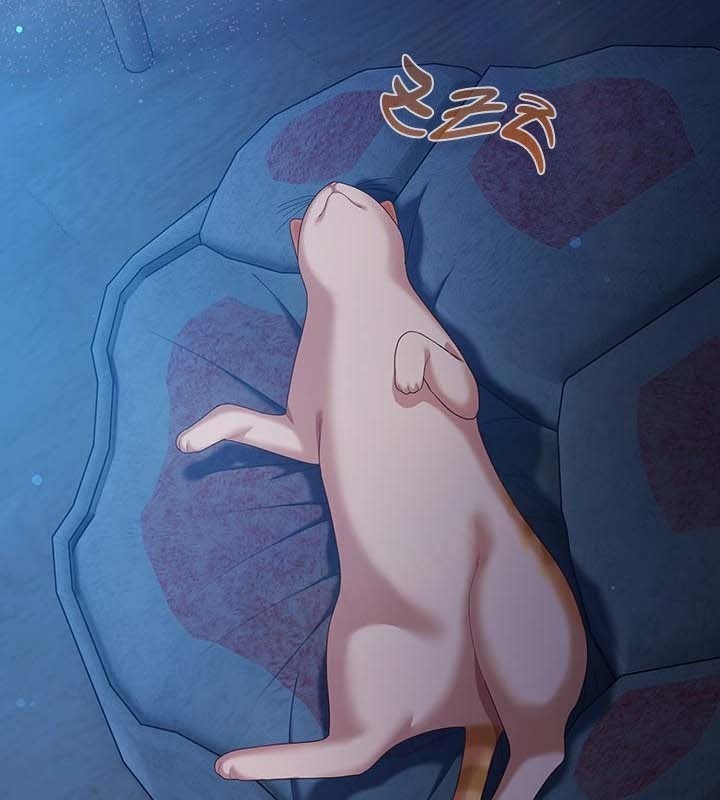 第27话-猫猫牵红线-10_million（第4张）