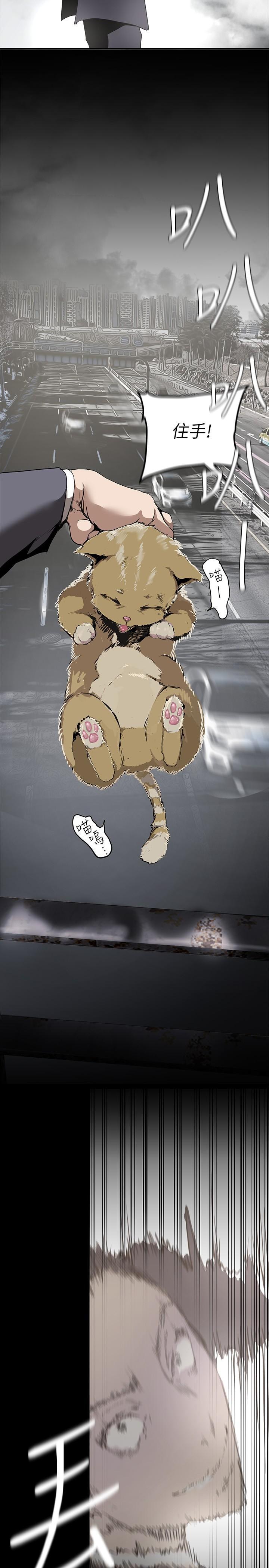 第170话-要不要来我家看猫？-美丽新世界-高孙志（第13张）