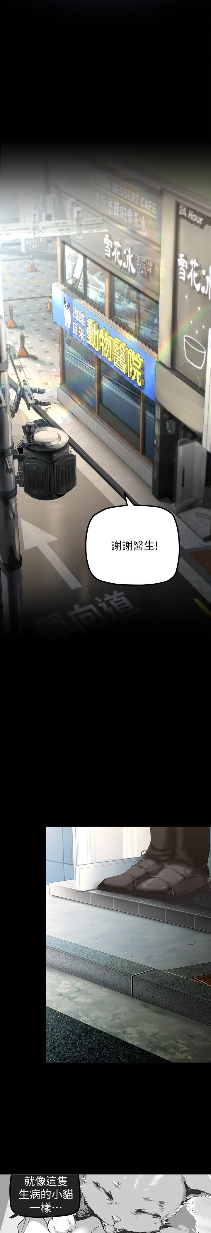 第170话-要不要来我家看猫？-美丽新世界-高孙志（第21张）