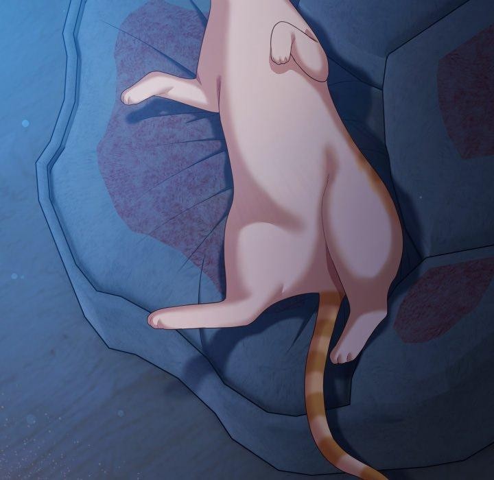 第27话-喵来的恋爱-10_milli（第6张）