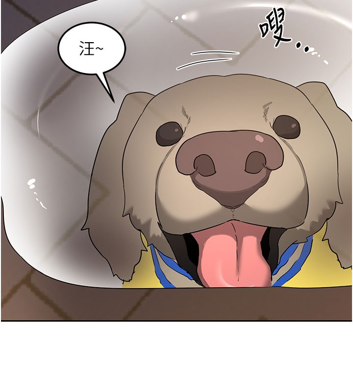 第28话-哈啊…阿姨都湿透了…-熟女交换计画-BanGgi,夜景（第6张）