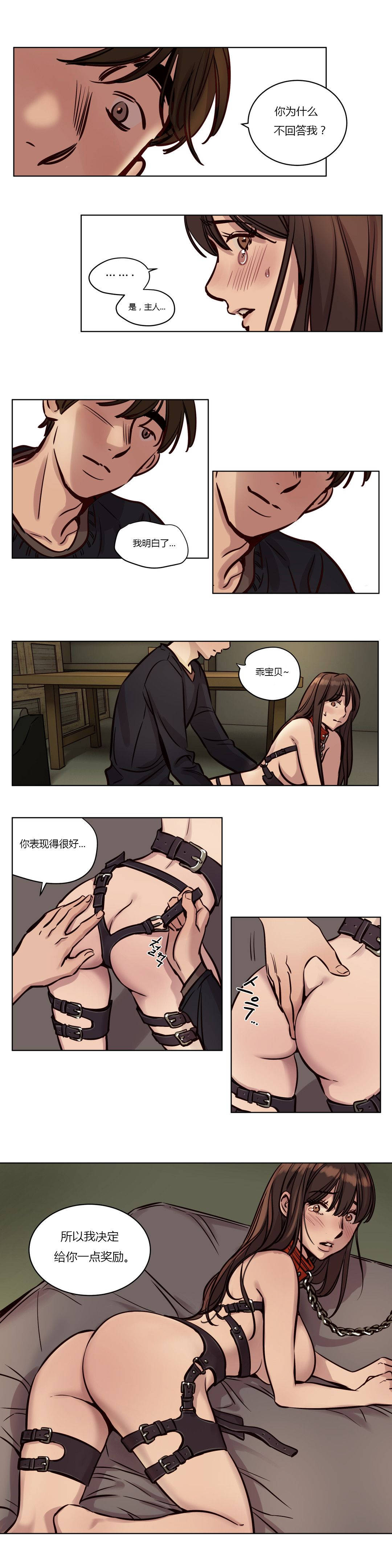 第36章-赎罪营-Llamas（第6张）