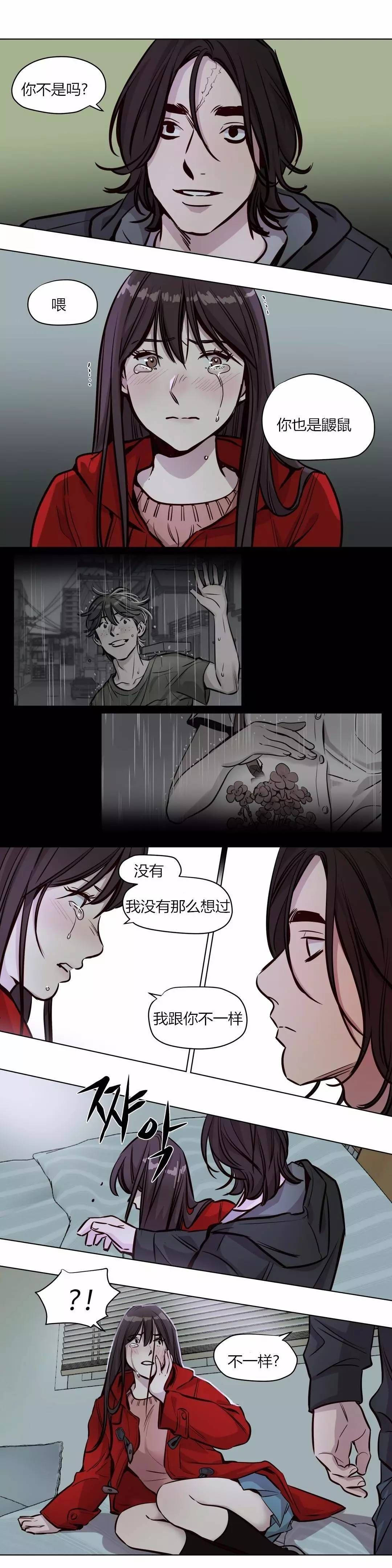 第55章-赎罪营-Llamas（第4张）