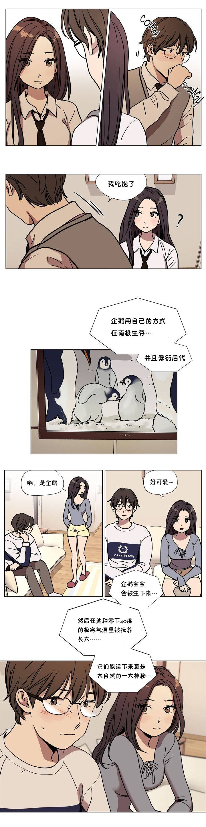第62章-赎罪营-Llamas（第3张）