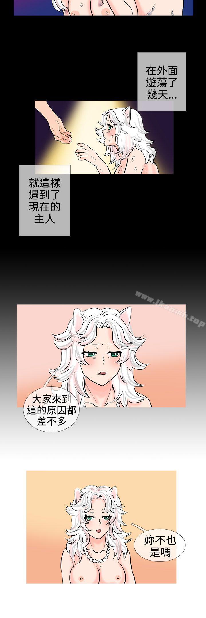 第11话-小野猫驯服手册-鳅尼兄（第9张）