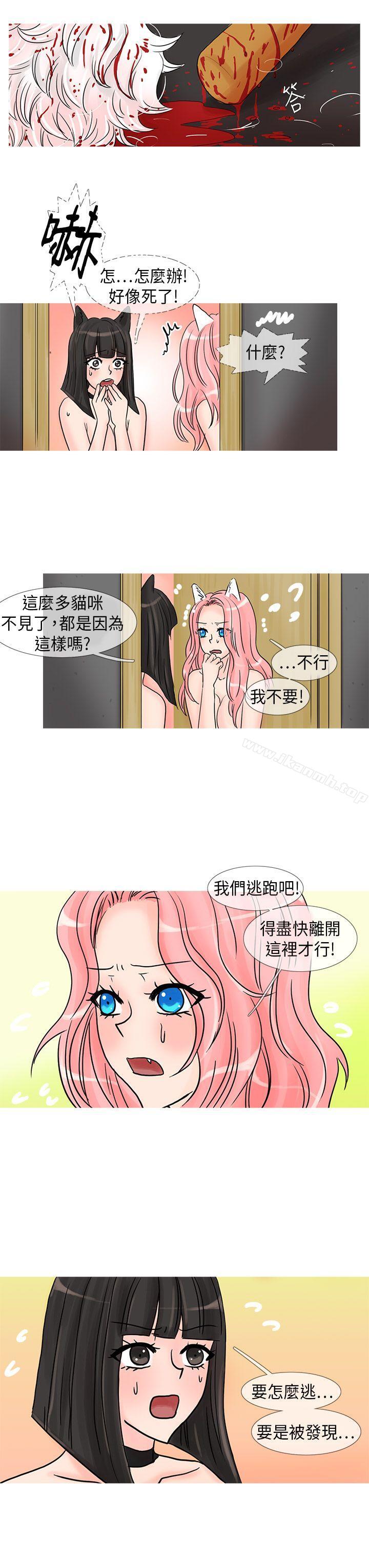 第24话-小野猫驯服手册-鳅尼兄（第10张）