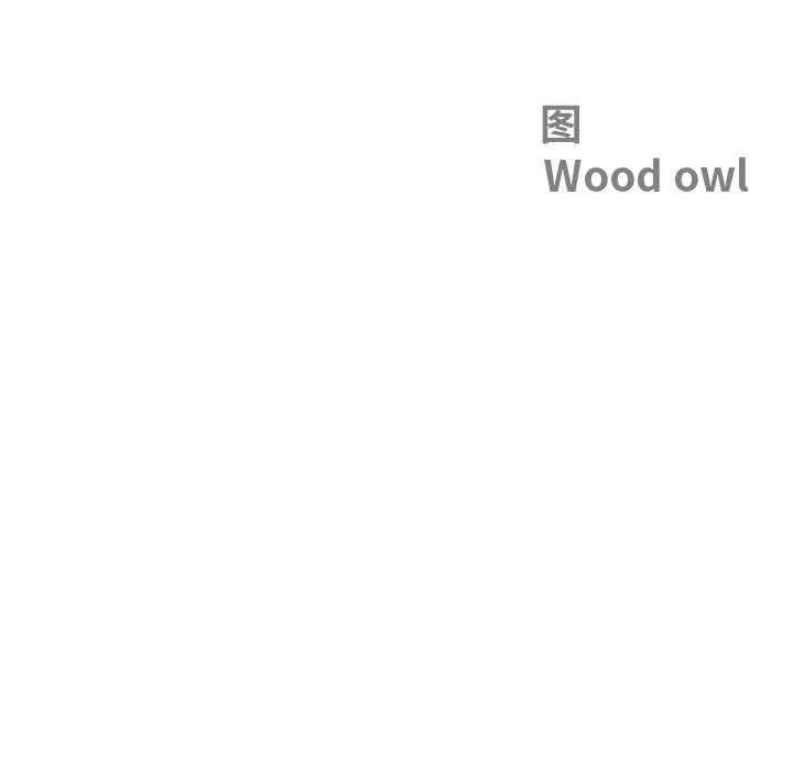 第10话-最强男人-Room308（第13张）