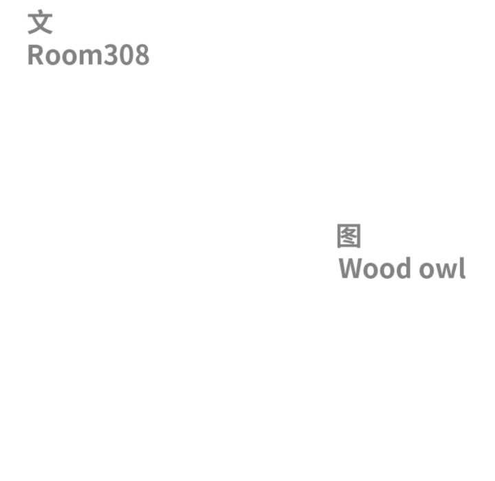 第55话-最强男人/天降奇蹟-Room308（第13张）