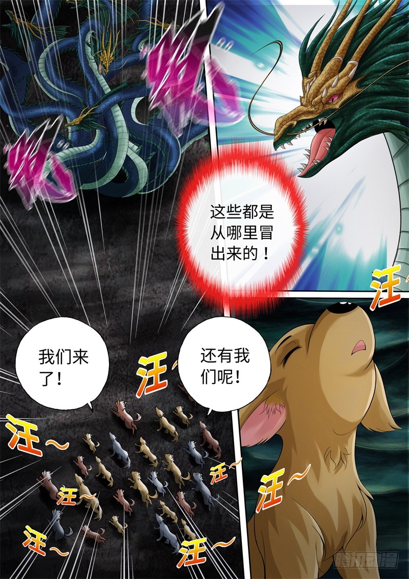第94话-神犬小七之七叶传说-神居动漫（第8张）