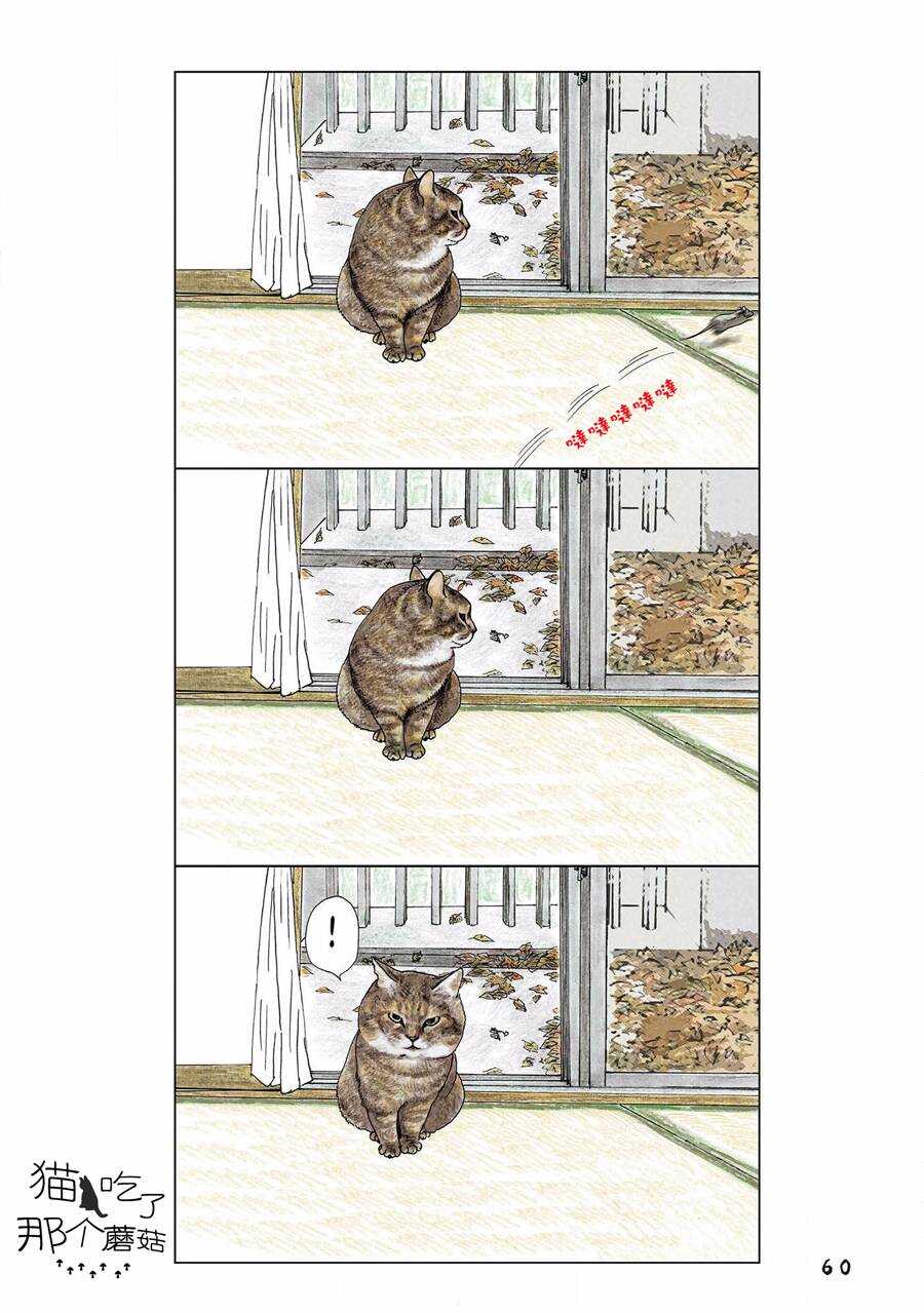 第107话-俺、对马-おぶうのきょうだい（第4张）