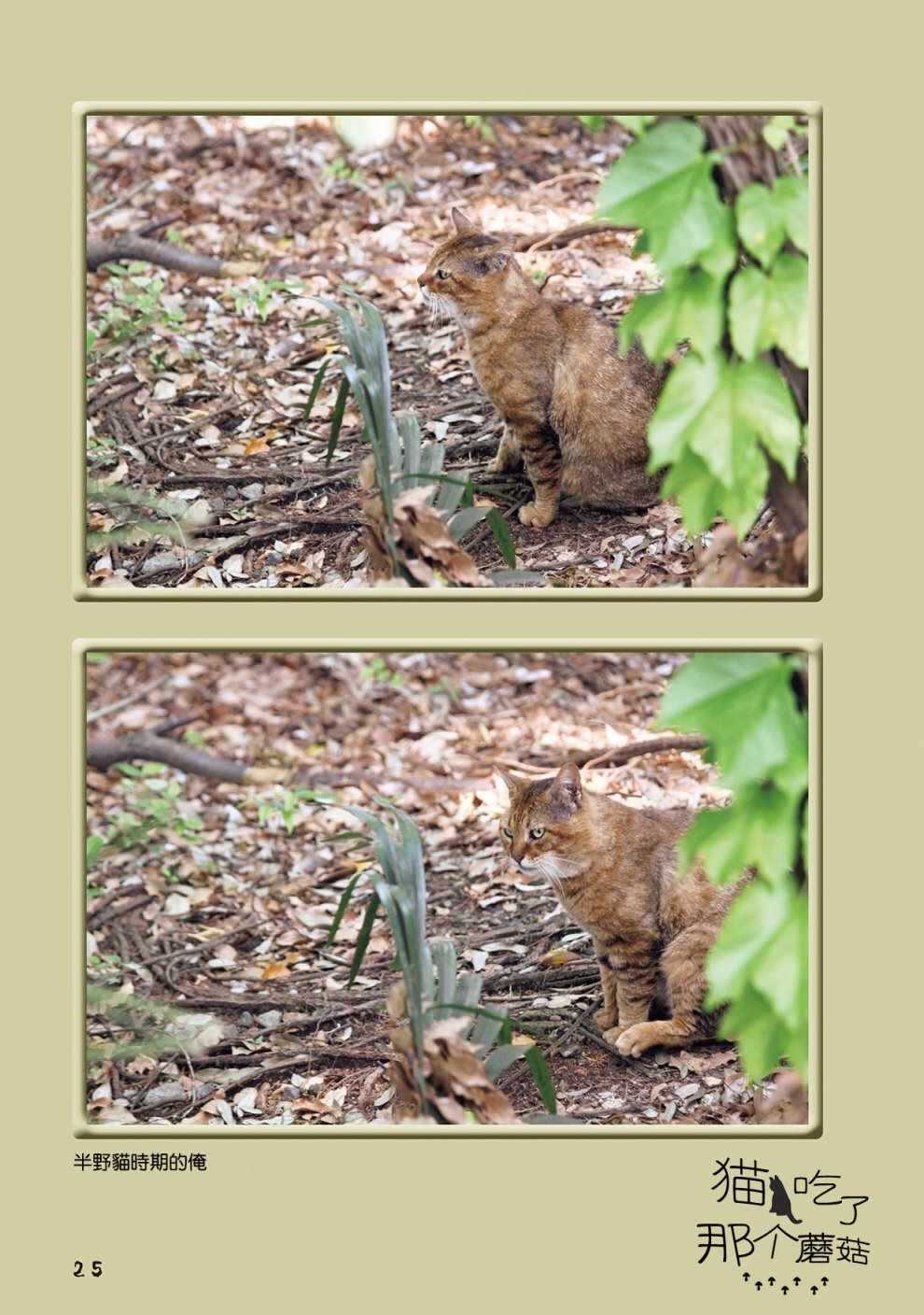 第6话-俺、对马-おぶうのきょうだい（第4张）