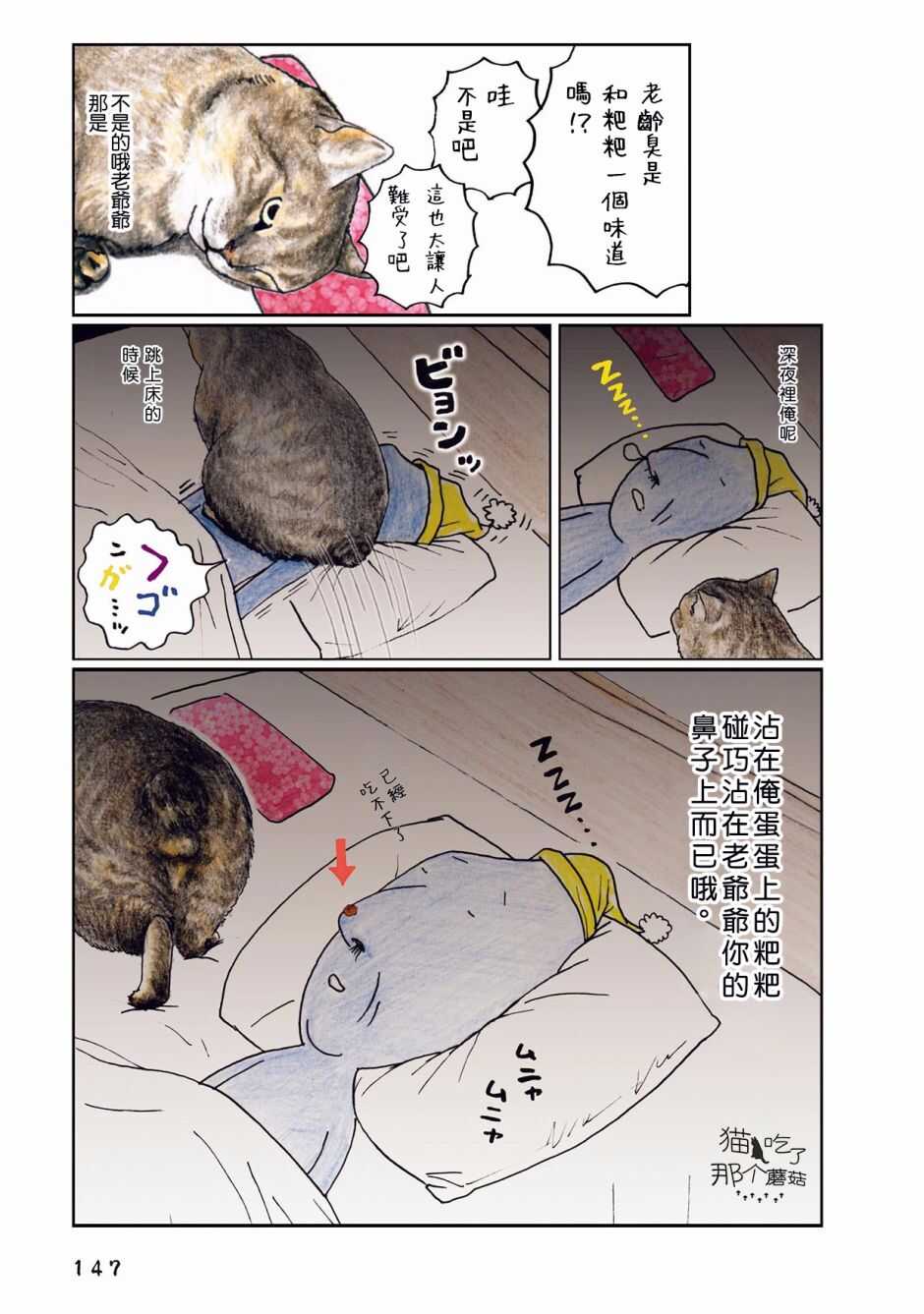 第45话-俺、对马-おぶうのきょうだい（第2张）