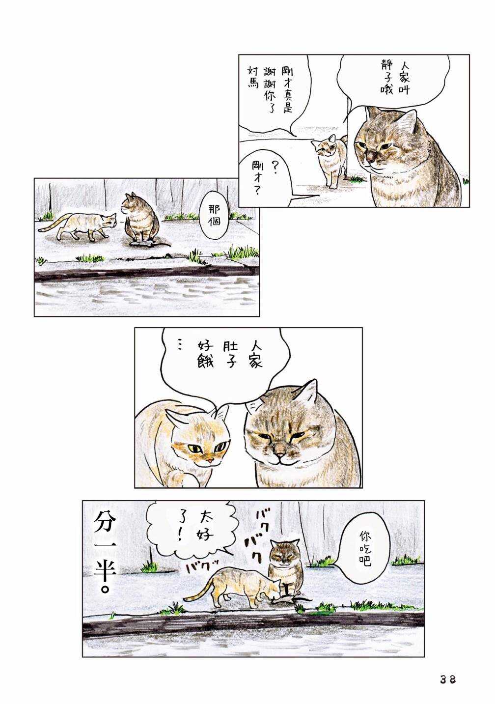 第55话-俺、对马-おぶうのきょうだい（第10张）