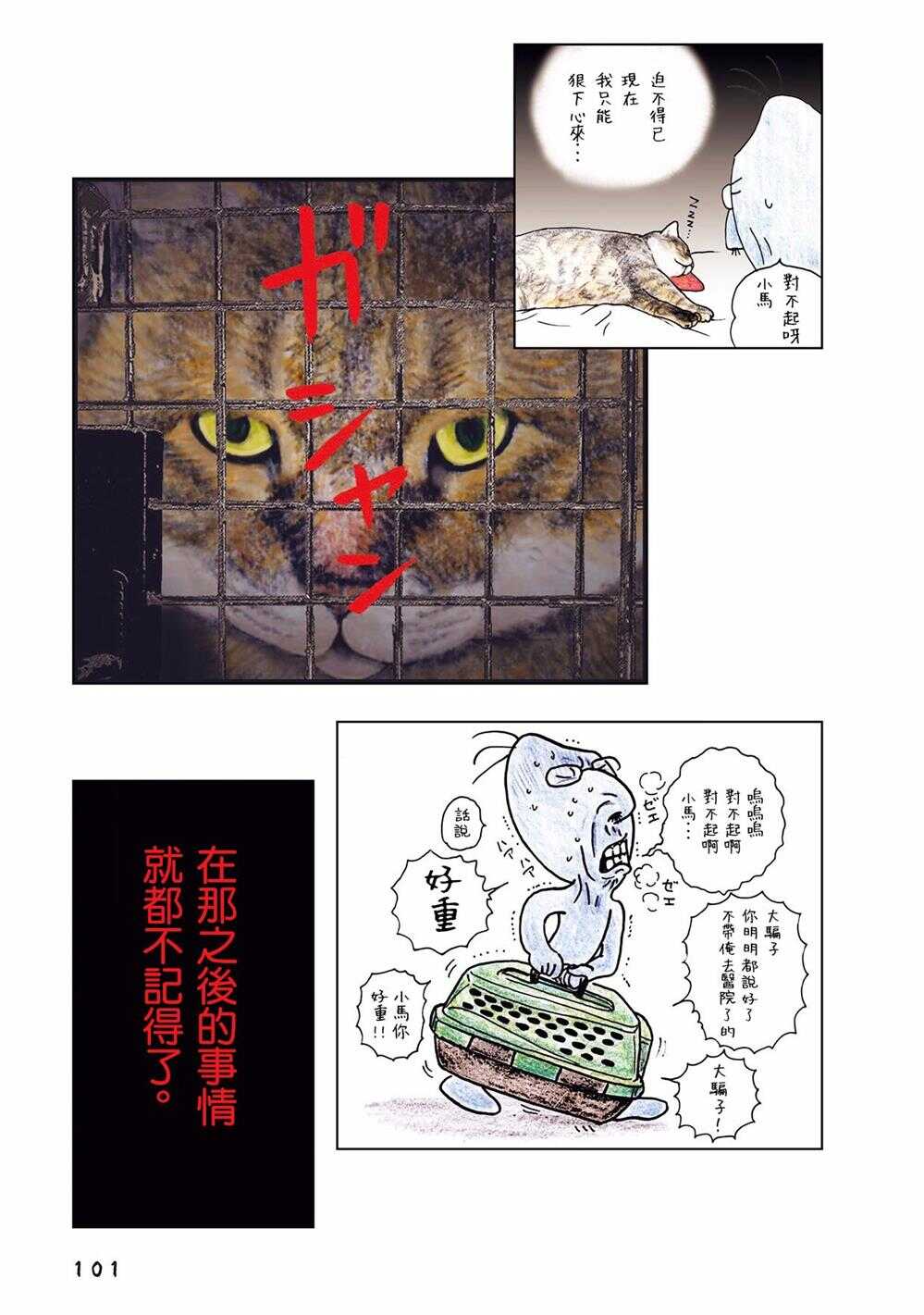 第35话-俺、对马-おぶうのきょうだい（第3张）