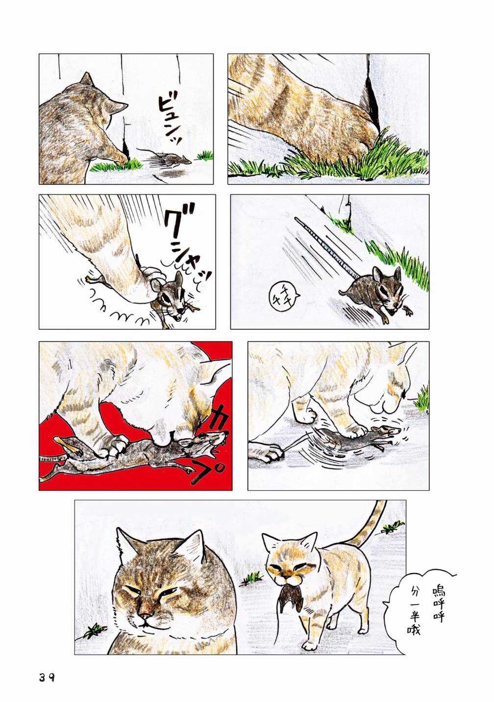 第55话-俺、对马-おぶうのきょうだい（第11张）