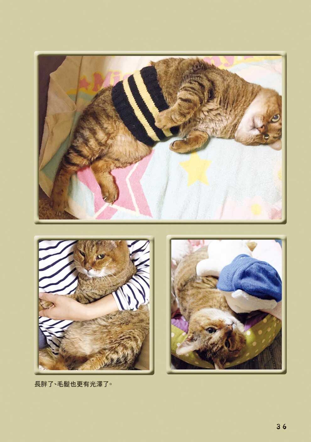 第9话-俺、对马-おぶうのきょうだい（第7张）