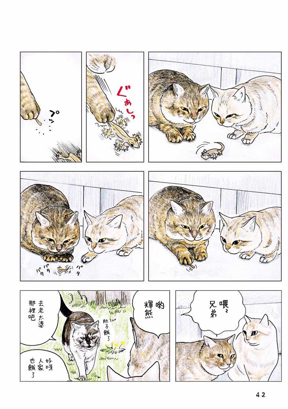 第55话-俺、对马-おぶうのきょうだい（第14张）