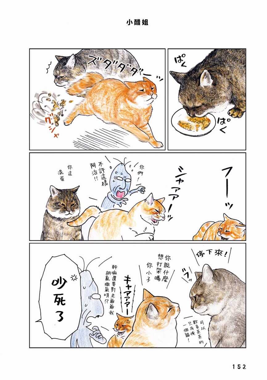 第47话-俺、对马-おぶうのきょうだい（第3张）