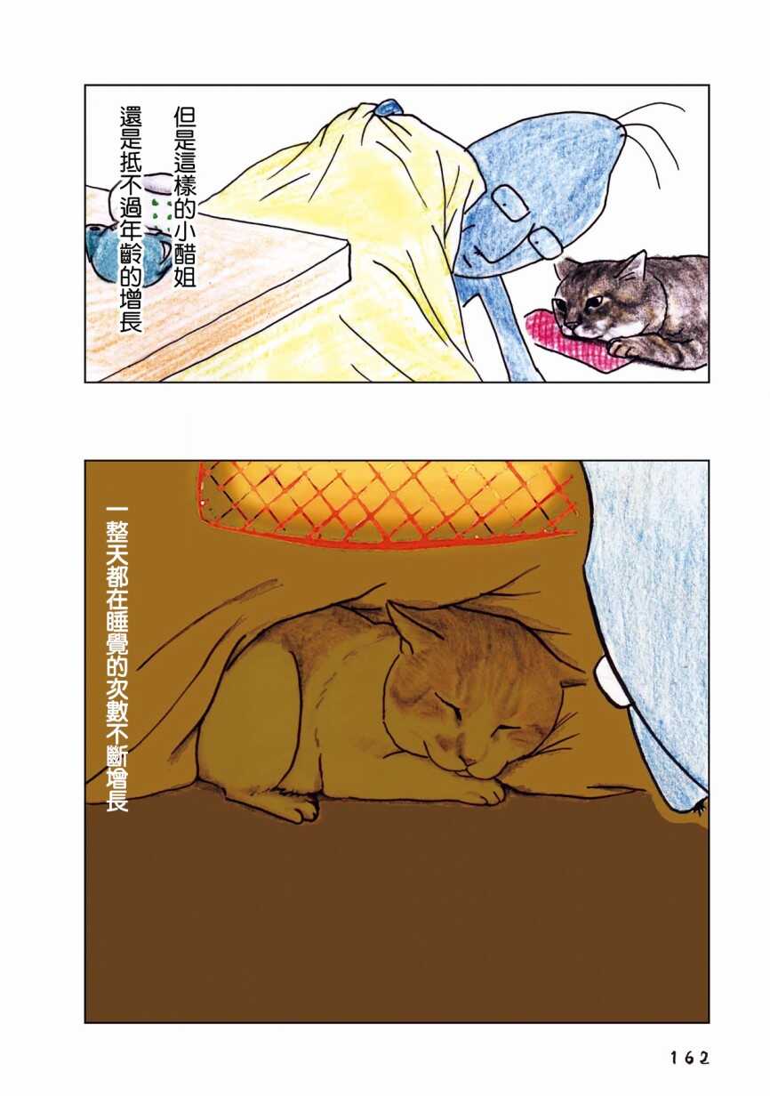 第47话-俺、对马-おぶうのきょうだい（第13张）