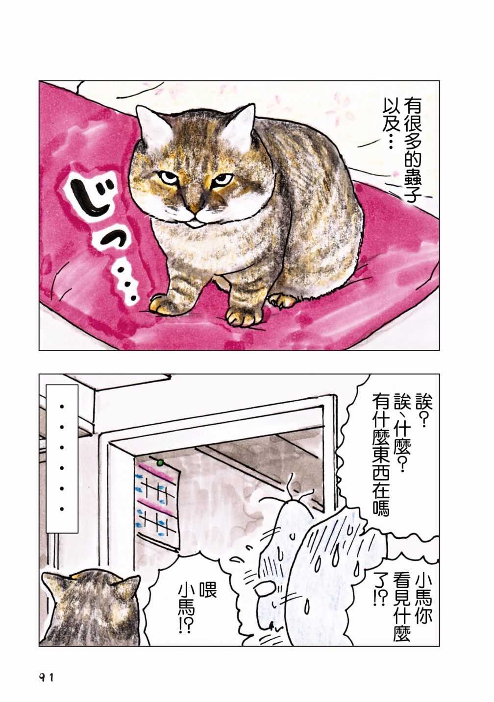 第59话-俺、对马-おぶうのきょうだい（第2张）
