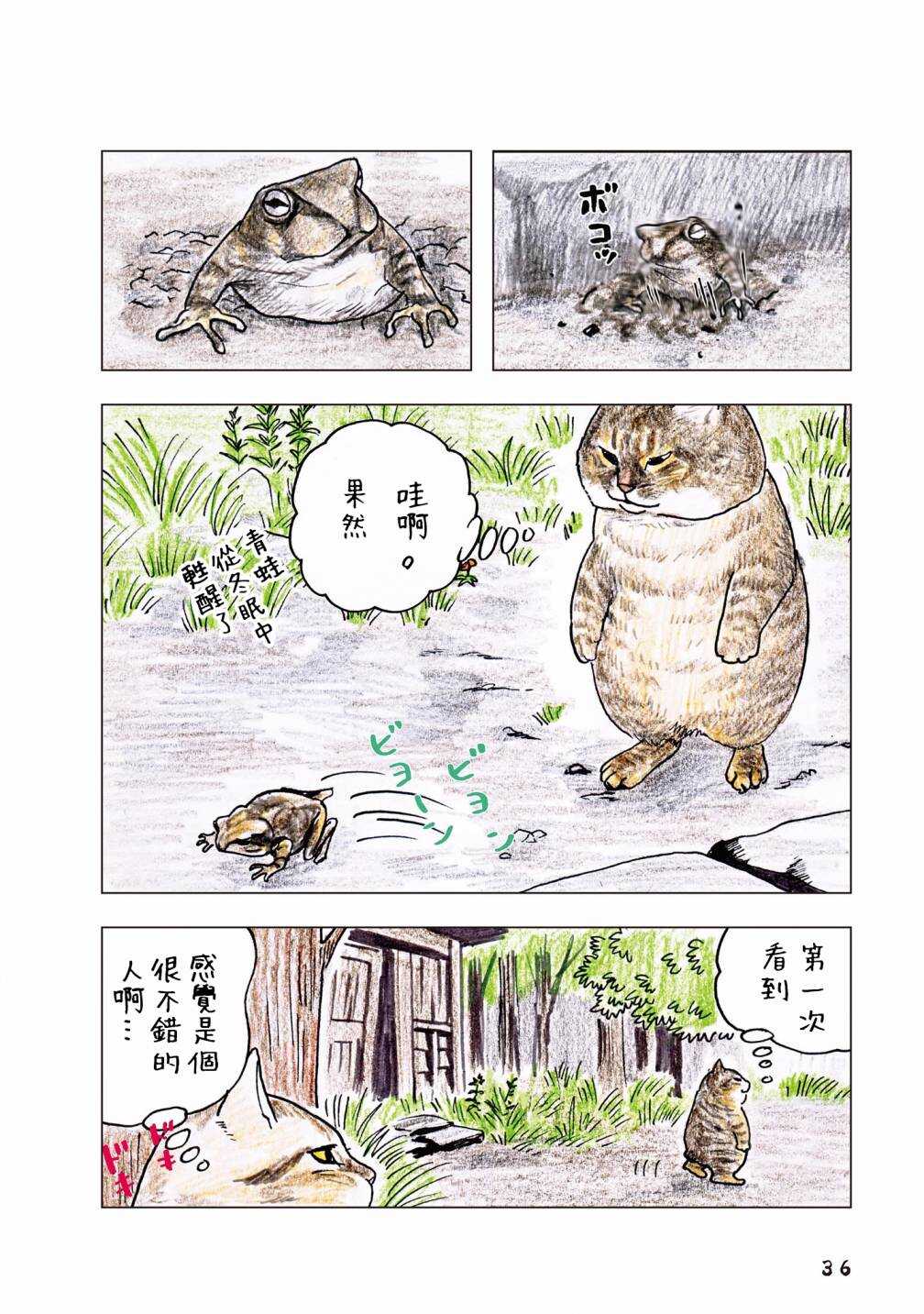 第55话-俺、对马-おぶうのきょうだい（第8张）