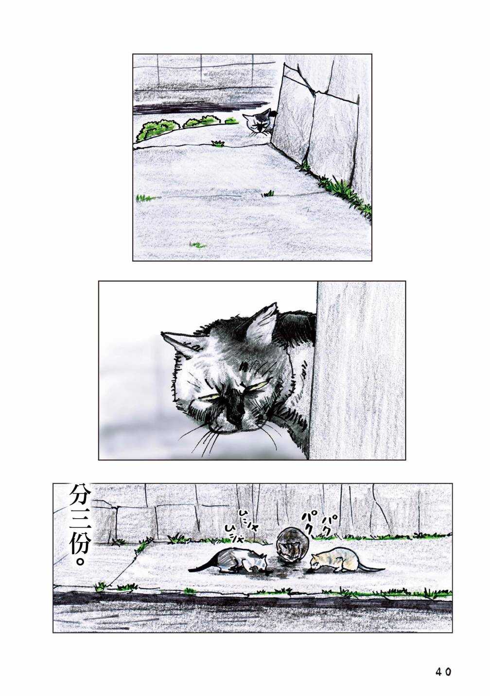 第55话-俺、对马-おぶうのきょうだい（第12张）