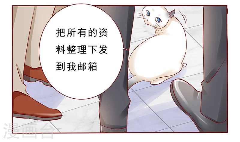 第190话这事也该结束了-霸道总裁爱上我-开源动漫（第12张）