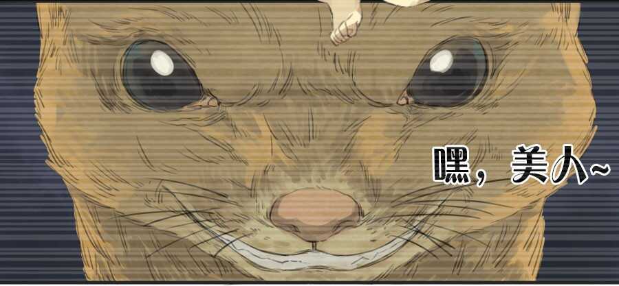第十四条：请求-传武-GK工坊?图：Blacksad黑猫,文：星星星云（第37张）