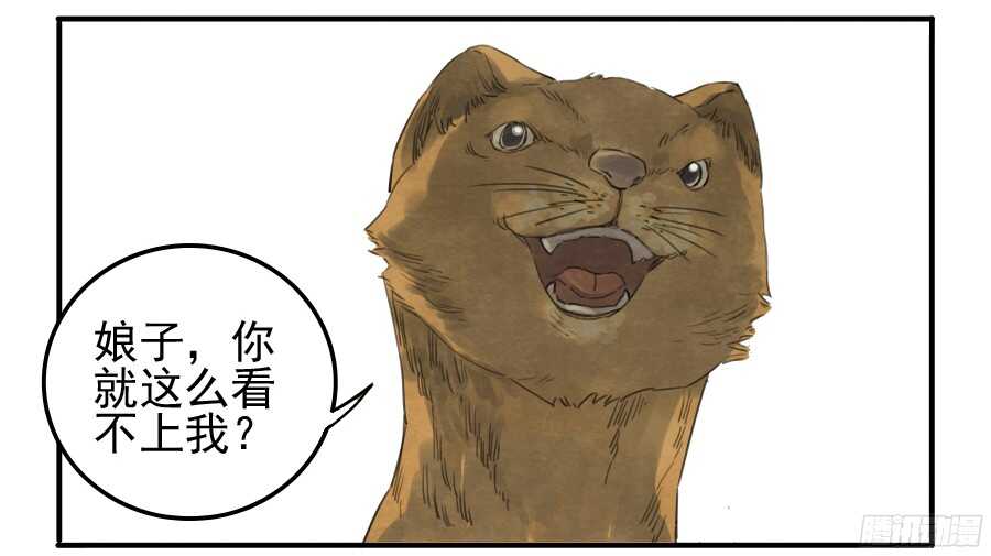 第十九条：设伏-传武-GK工坊?图：Blacksad黑猫,文：星星星云（第34张）
