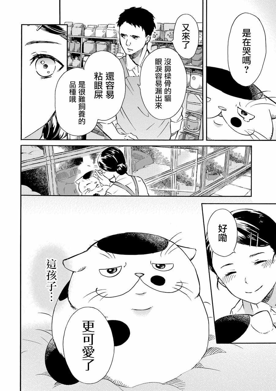 第21话-大叔与猫-樱井海（第4张）