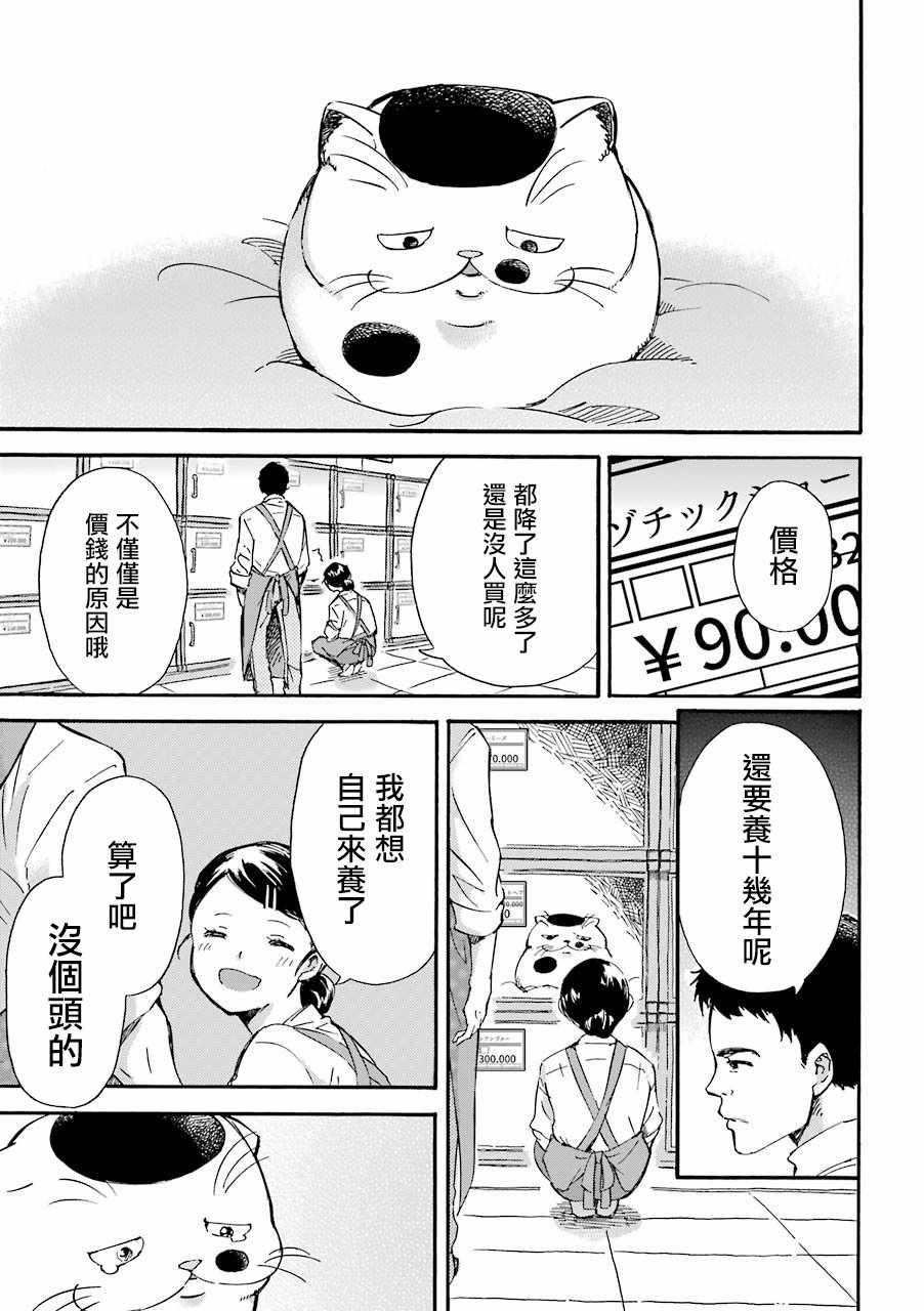 第21话-大叔与猫-樱井海（第3张）