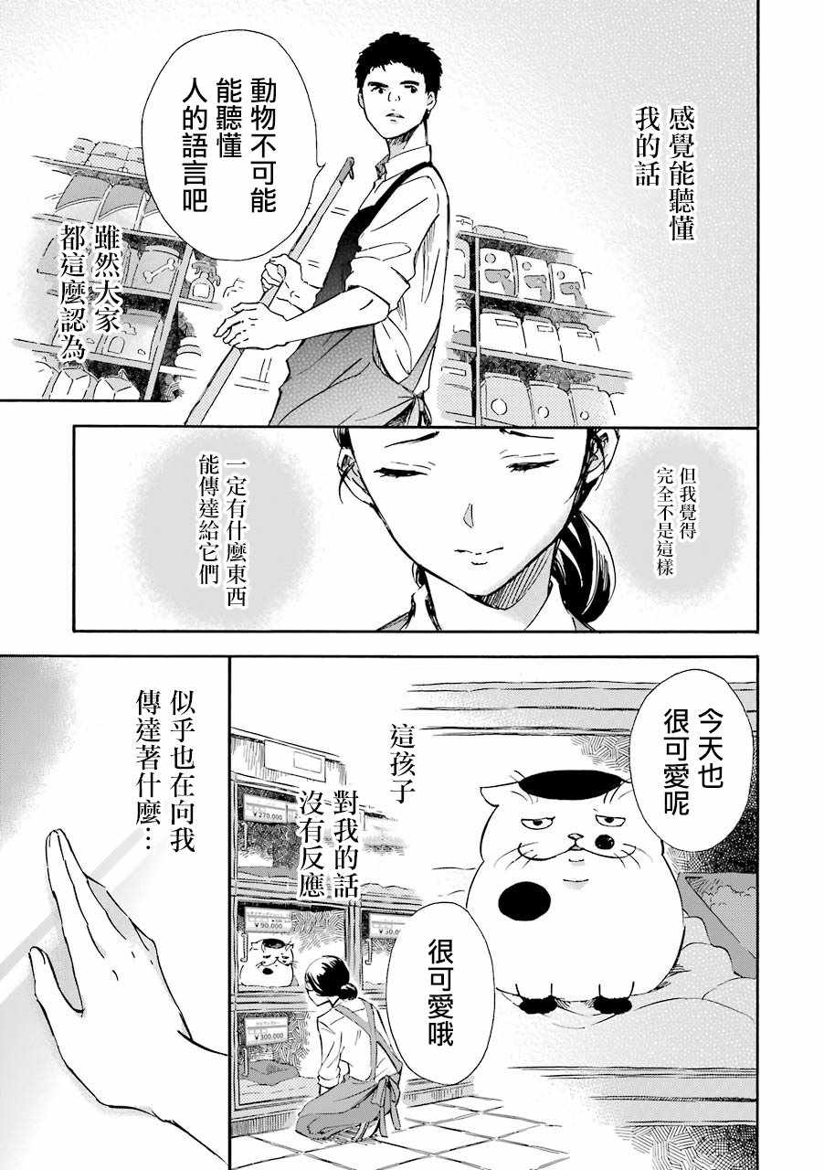 第21话-大叔与猫-樱井海（第5张）
