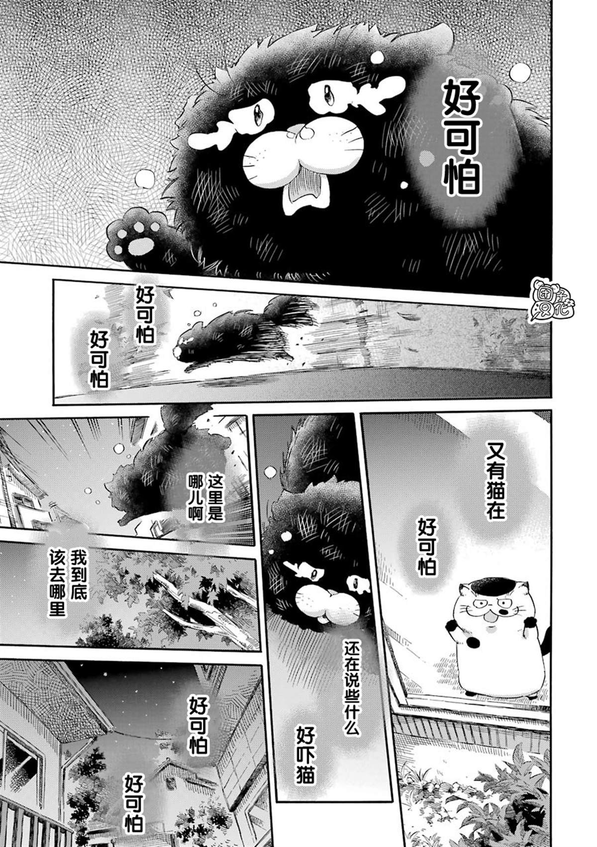 第48话-大叔与猫-樱井海（第11张）