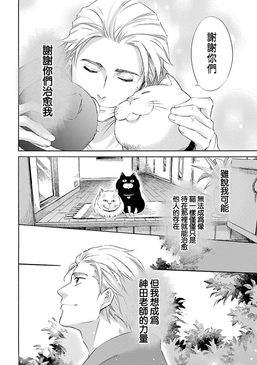 第43话-大叔与猫-樱井海（第6张）