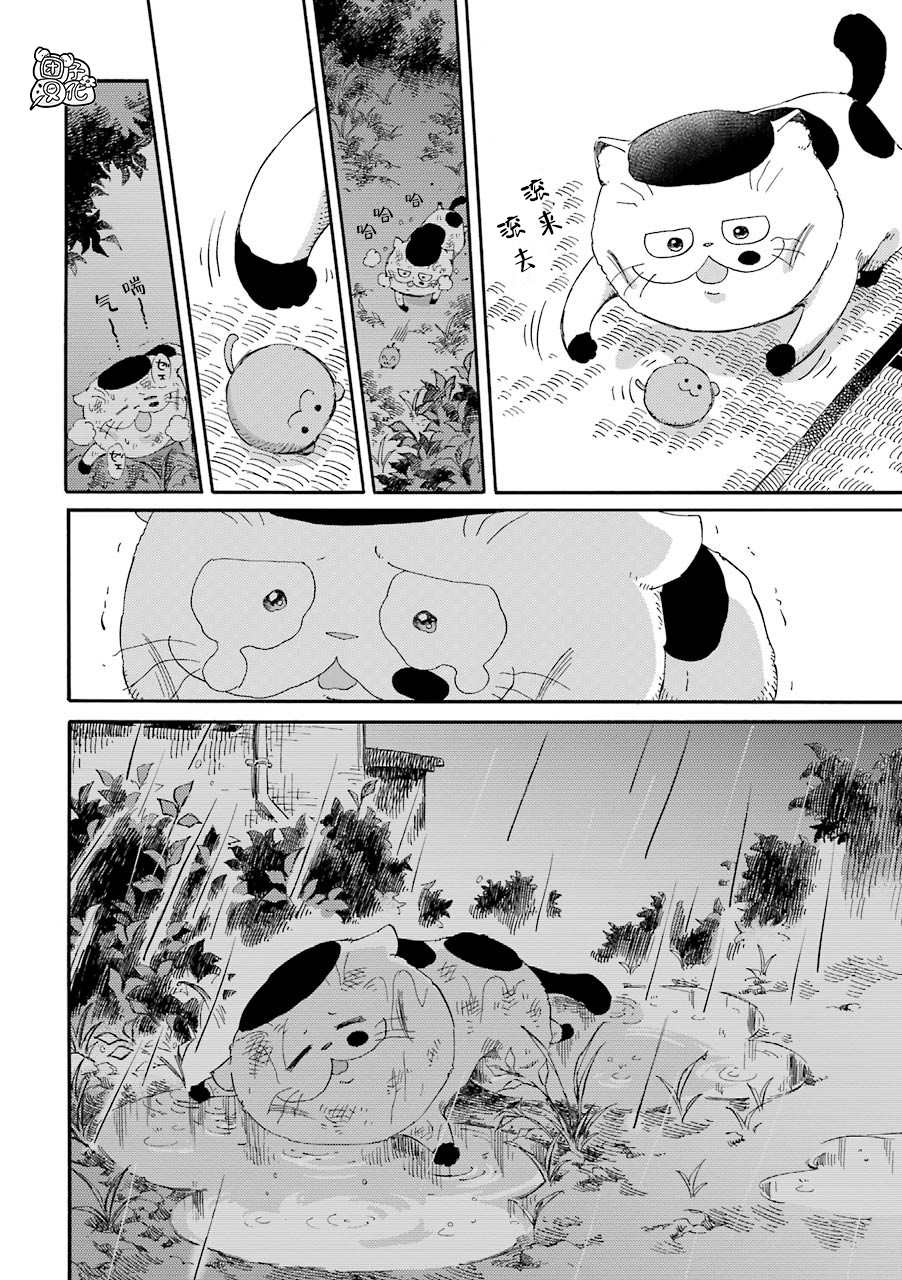 第55话-大叔与猫-樱井海（第8张）