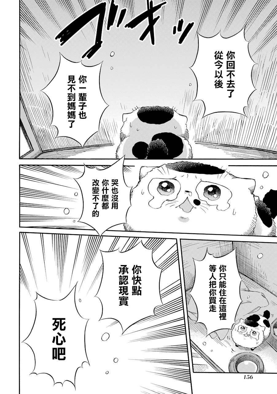 第47话-大叔与猫-樱井海（第3张）